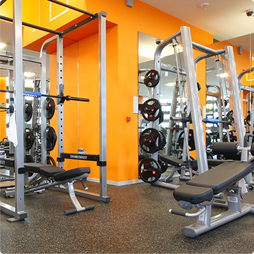 写真 フリーウェイト2